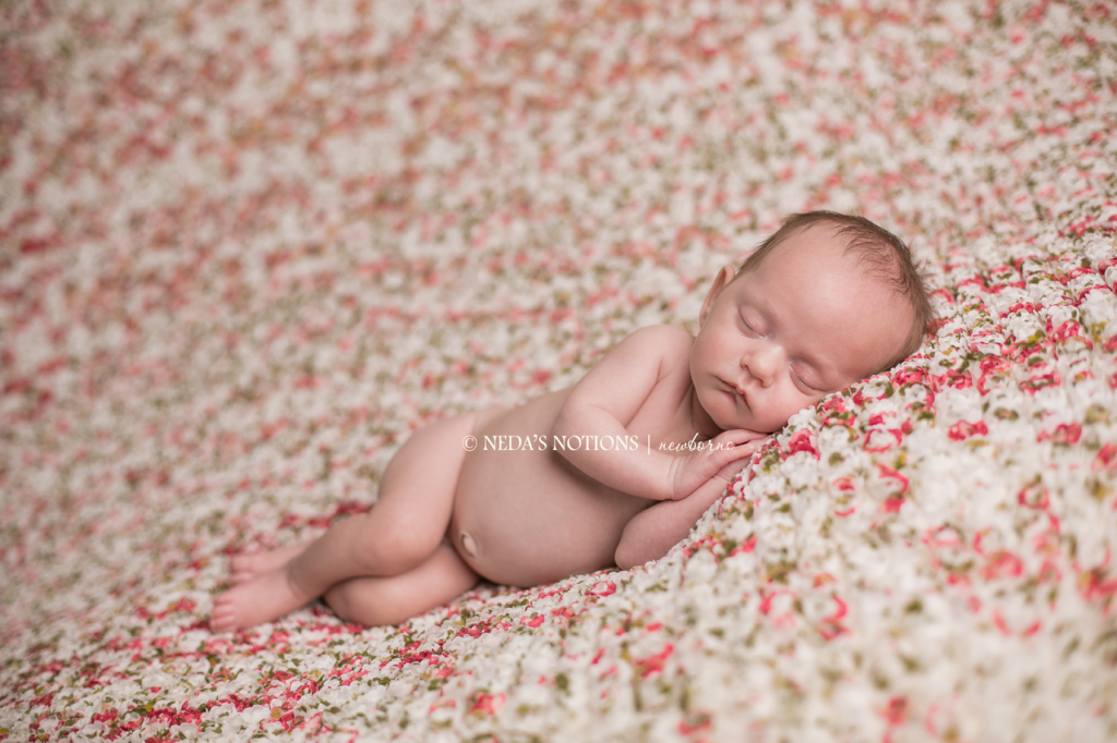 defuniak springs newborn photographer, six weeks new, baby, girl, preemie