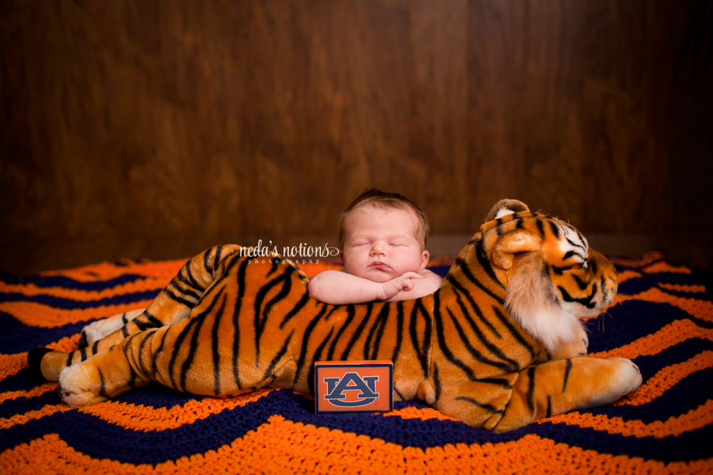 crestview newborn photographer, baby girl, auburn tigers, WDE