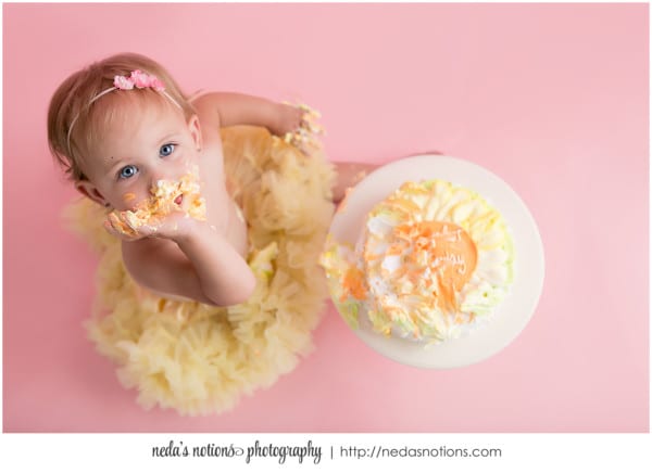 Neda's Notions Photography | Defuniak Springs Baby Photographer
