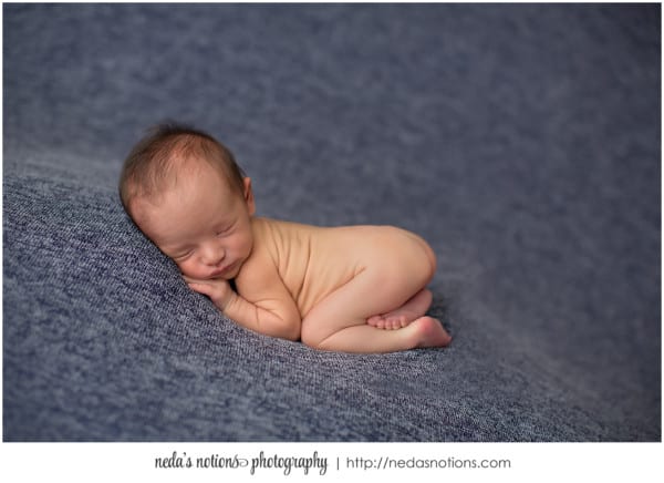 Neda's Notions Photography | Crestview Newborn Photography