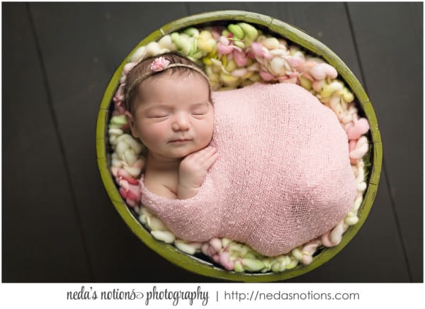 Neda's Notions Photography | Newborn Photographer Navarre