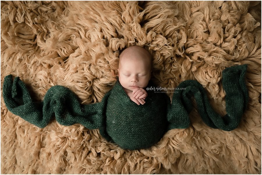 Niceville Newborn Photographer Neda's Notions Photography