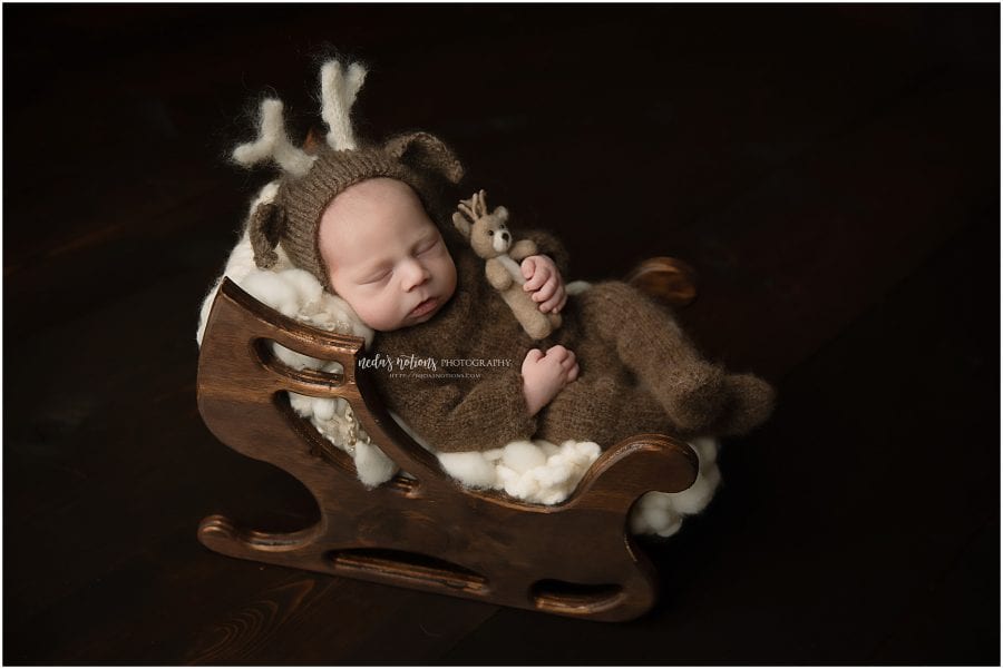 Navarre Reindeer Newborn Session